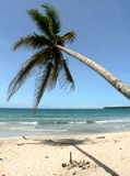 Cahuita Beach