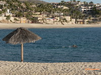 Cabo San Lucas Beach