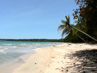 Cahuita beach, Costa Rica