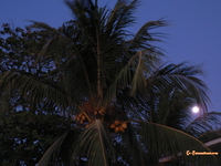 Moonrise in Tamarindo
