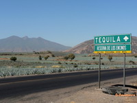 Road to Tequila